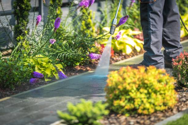 Best Pool Deck Cleaning  in West Monroe, LA